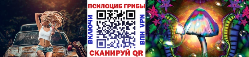 Галлюциногенные грибы MAGIC MUSHROOMS  купить наркотики цена  Ртищево 