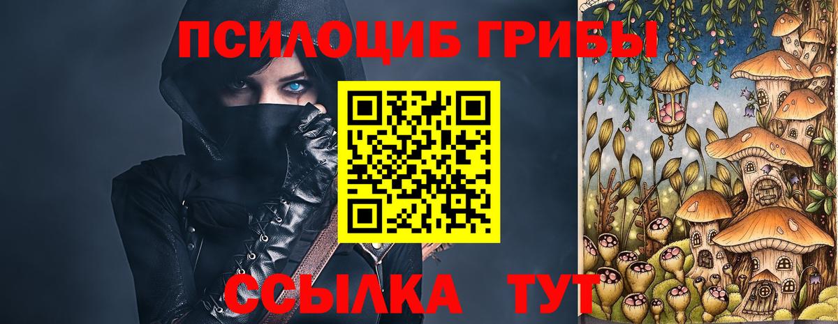 Псилоцибиновые грибы GOLDEN TEACHER Ртищево