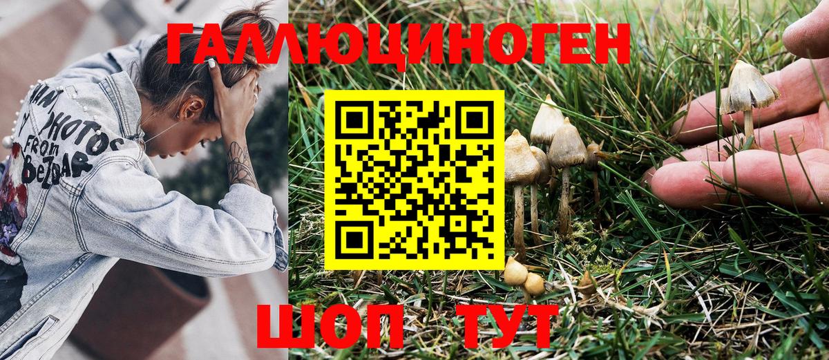 Ртищево  Галлюциногенные грибы MAGIC MUSHROOMS  Вход с VPN  Псилоцибиновые грибы Cubensis 